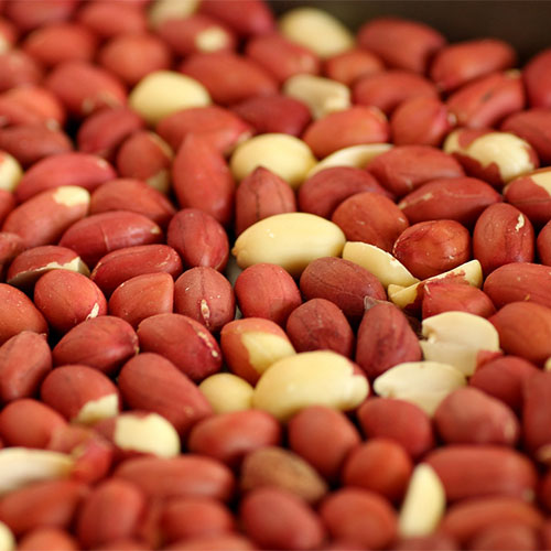 China Peanuts 250gm